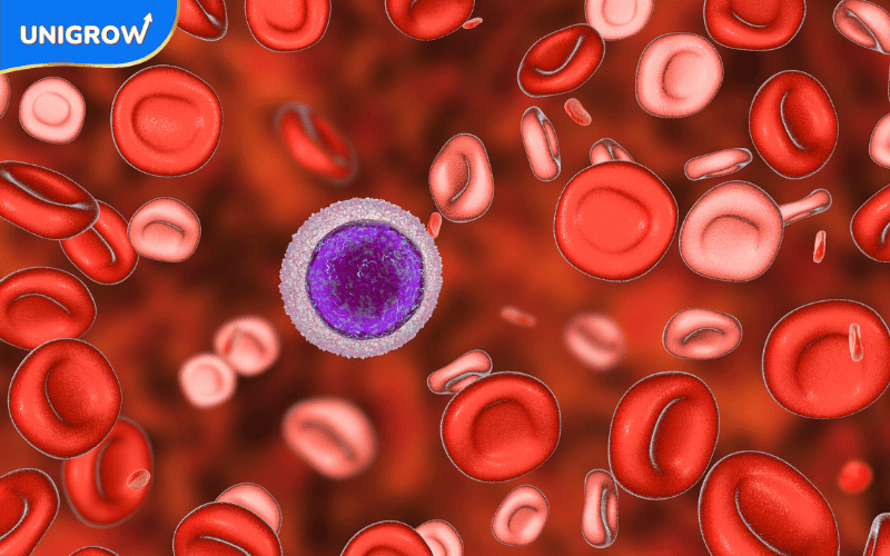 เด็กตัวเตี้ย อาจมีภาวะโลหิตจาง ควรตรวจเช็ก