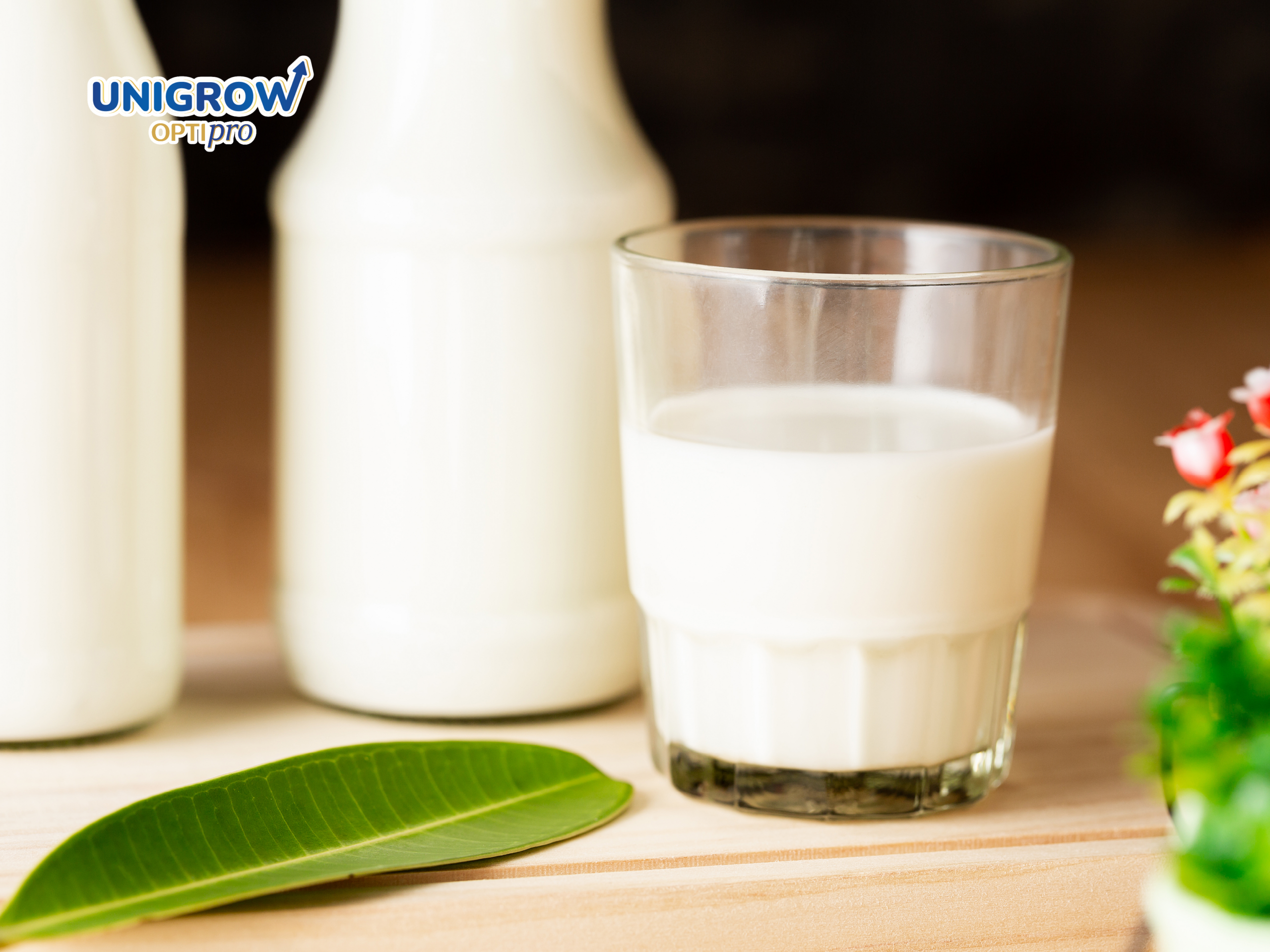 ภาพแก้วนมเป็นแหล่งแคลเซียมและโปรตีนที่สำคัญสำหรับเด็ก
