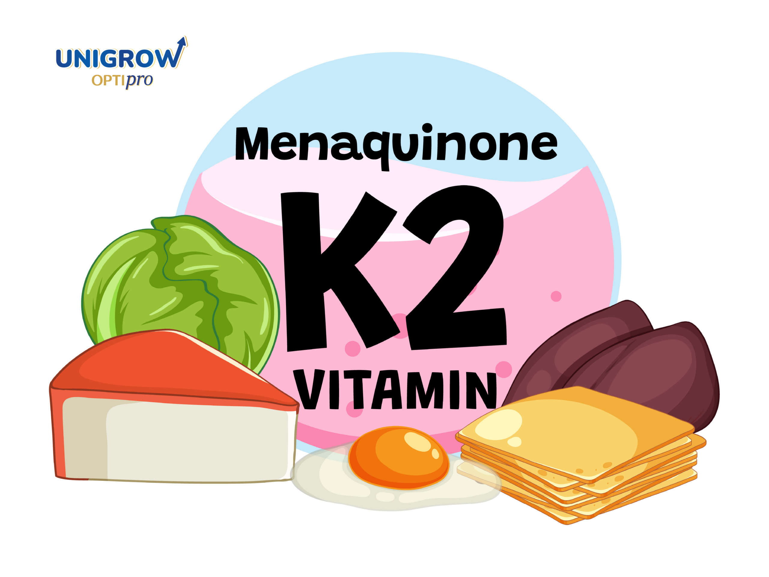 วิตามิน K2 – ตัวช่วยนำพาแคลเซียมเข้าสู่กระดูกได้อย่างแม่นยำ