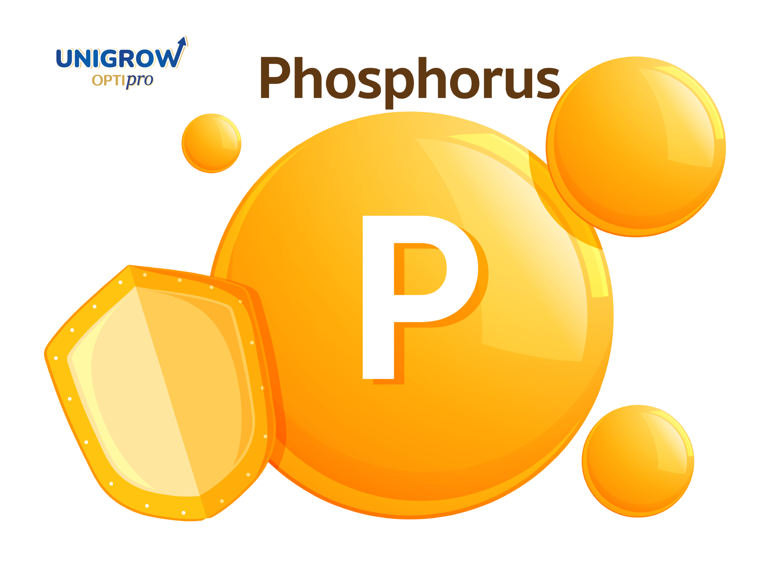 CPP ช่วยให้ร่างกายดูดซึมแคลเซียมได้อย่างมีประสิทธิภาพมากขึ้น