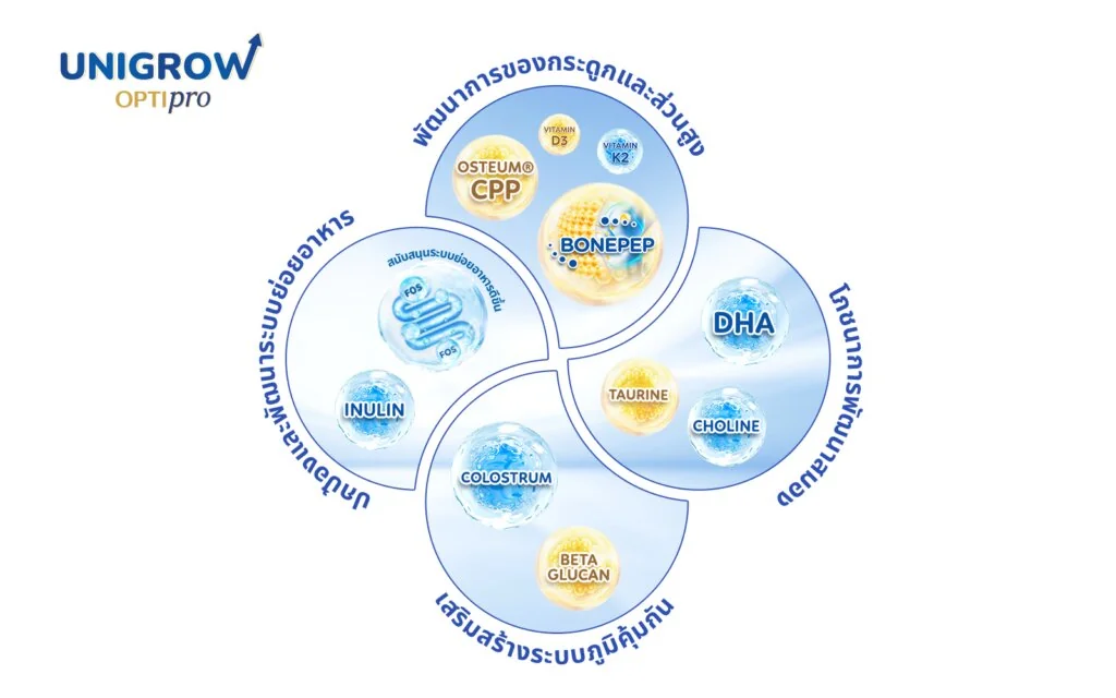 โภชนาการเสริม DHA และสารอาหารจำเป็น ช่วยกระตุ้นสมาธิและพัฒนาการทางสมองของเด็ก